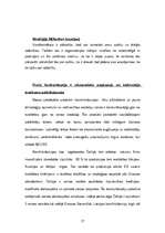 Diplomdarbs 'SIA "NEOSS" attīstības stratēģijas izstrāde', 57.