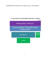 Prakses atskaite 'Hokeja trenera mācību prakses pārskats', 7.