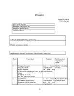 Prakses atskaite 'Hokeja trenera mācību prakses pārskats', 22.