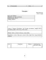 Prakses atskaite 'Hokeja trenera mācību prakses pārskats', 26.