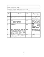 Prakses atskaite 'Hokeja trenera mācību prakses pārskats', 28.