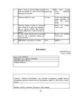 Prakses atskaite 'Hokeja trenera mācību prakses pārskats', 30.