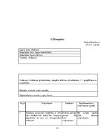 Prakses atskaite 'Hokeja trenera mācību prakses pārskats', 32.