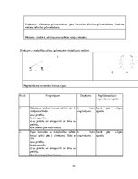 Prakses atskaite 'Hokeja trenera mācību prakses pārskats', 34.