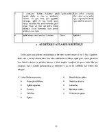 Prakses atskaite 'Hokeja trenera mācību prakses pārskats', 35.