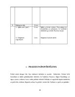 Prakses atskaite 'Hokeja trenera mācību prakses pārskats', 64.