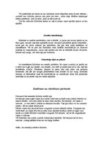 Referāts 'Attīstības izpēte 5 gadus vecam bērnam', 6.