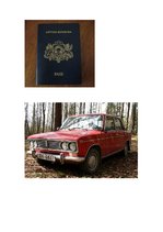 Referāts 'Attīstības izpēte 5 gadus vecam bērnam', 7.