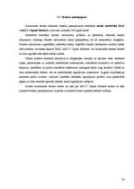 Referāts 'Aizkraukles bankas darbību raksturojošie finansiālie rādītāji un pakalpojumi', 29.