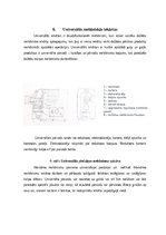 Referāts 'Gaļas griešanas un smalcināšanas iekārtas', 10.