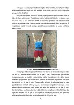 Diplomdarbs 'Plānveida treniņa ar svara pagrūtinājumiem ietekme uz spēka pieaugumu', 29.