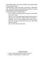 Referāts 'Intelektuālā īpašuma aizsardzība', 7.