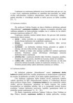 Referāts 'Iekšējās vides faktoru vadīšana uzņēmumā pārmaiņu apstākļos', 16.