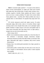 Referāts 'Sievietes dzimumorgānu anatomija un fizioloģija', 3.