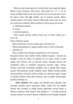 Referāts 'Sievietes dzimumorgānu anatomija un fizioloģija', 7.