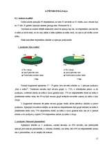 Referāts 'Krāsa. Krāsas īpašības', 15.