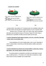 Referāts 'Krāsa. Krāsas īpašības', 17.