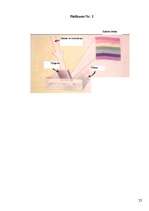 Referāts 'Krāsa. Krāsas īpašības', 25.