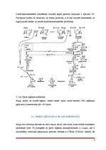 Referāts 'Alus raugs', 9.