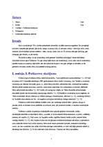 Referāts 'Bērna socializācija Igora Puškareva skatījumā', 2.