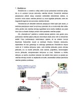 Prakses atskaite 'Prakses atskaites paraugs projektu vadībā', 7.