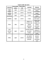 Prakses atskaite 'Prakses atskaites paraugs projektu vadībā', 18.