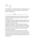 Referāts 'Ūdens aizsardzība', 17.