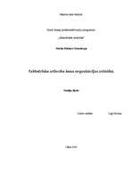 Referāts 'Sabiedrisko attiecību loma organizācijas attīstībā', 14.