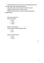 Referāts 'Ko es varu darīt bērnu labā, kuriem ir komunikācijas traucējumi', 5.