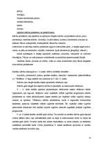 Referāts 'Ko es varu darīt bērnu labā, kuriem ir komunikācijas traucējumi', 20.