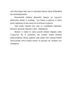 Konspekts 'Indijas tradicionālā kultūra', 2.