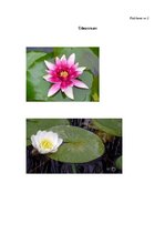 Konspekts 'Konspekts mājturības un tehnoloģijas stundai 1.klasē', 4.