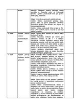 Prakses atskaite 'Prakses dienasgrāmata', 10.