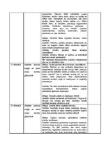 Prakses atskaite 'Prakses dienasgrāmata', 13.