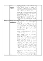 Prakses atskaite 'Prakses dienasgrāmata', 16.