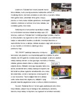 Eseja 'Recenzija izstādei "Baltic Furniture 2013"', 2.