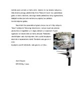 Eseja 'Recenzija izstādei "Baltic Furniture 2013"', 4.