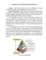 Referāts 'Atkritumu apsaimniekošana', 3.