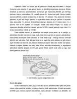 Referāts 'Atkritumu apsaimniekošana', 12.