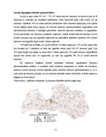 Referāts 'Atkritumu apsaimniekošana', 14.