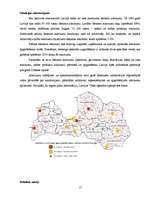 Referāts 'Atkritumu apsaimniekošana', 15.