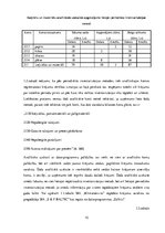 Paraugs 'Krājumi, krājumu novērtēšana un uzskaite', 10.