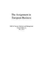 Referāts 'The Assignment in European Business', 1.
