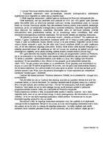 Eseja 'Negodīga konkurence', 2.