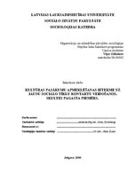 Diplomdarbs 'Kultūras pasākumu apmeklēšanas ietekme uz jaunu sociālo tīklu kontaktu veidošano', 1.