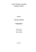 Referāts 'Uzmanība', 1.