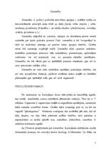 Referāts 'Uzmanība', 2.