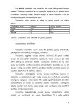 Referāts 'Uzmanība', 5.