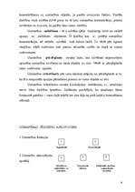 Referāts 'Uzmanība', 6.