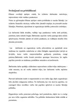 Referāts 'Darbinieku motivācijas paaugstināšanas projekts organizācijā', 18.